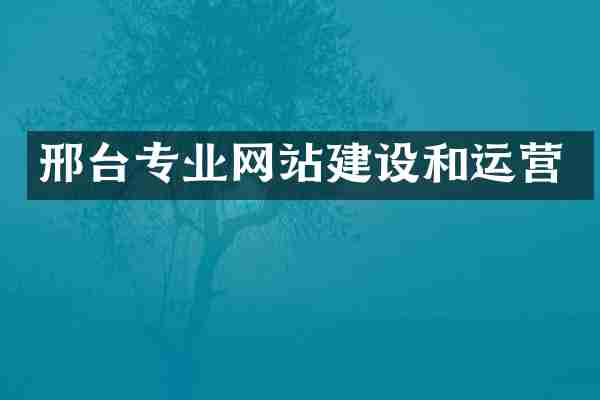 邢台专业网站建设和运营