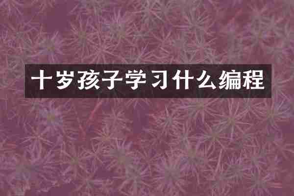 十岁孩子学习什么编程