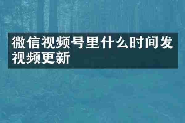 微信视频号里什么时间发视频更新