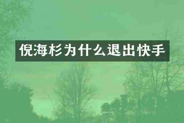 倪海杉为什么退出快手