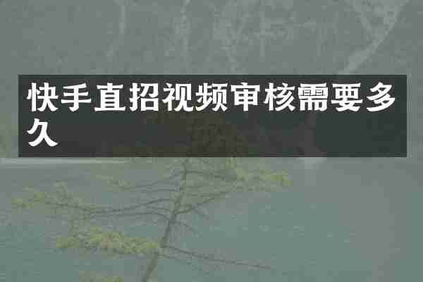 快手直招视频审核需要多久