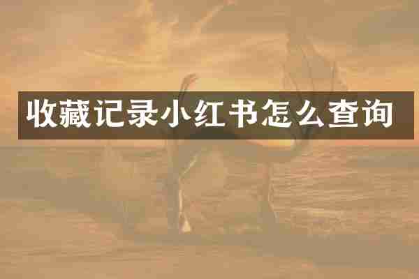 收藏记录小红书怎么查询