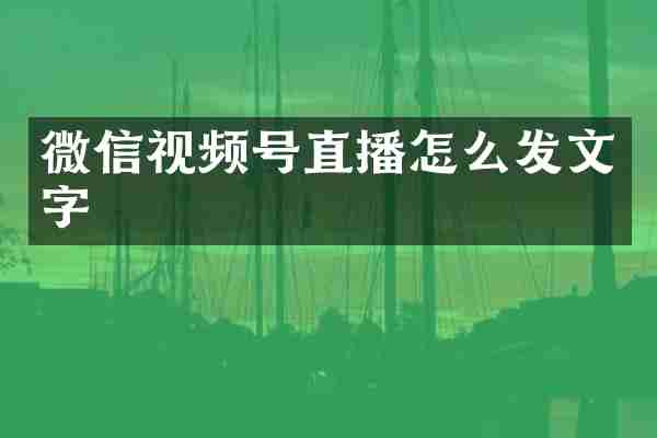 微信视频号直播怎么发文字