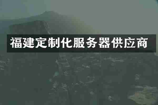 福建定制化服务器供应商