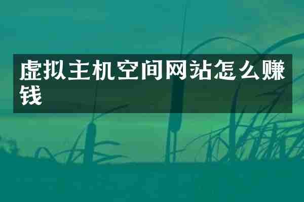 虚拟主机空间网站怎么赚钱