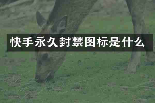 快手永久封禁图标是什么