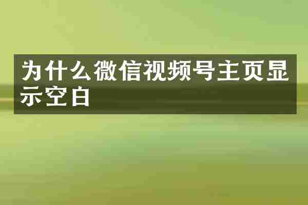 为什么微信视频号主页显示空白