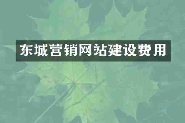 东城营销网站建设费用