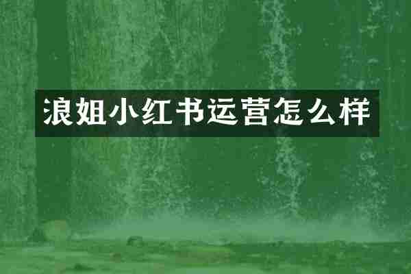 浪姐小红书运营怎么样