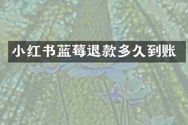 小红书蓝莓退款多久到账