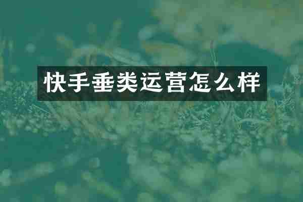 快手垂类运营怎么样
