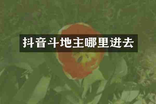 抖音斗地主哪里进去