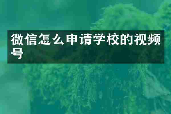 微信怎么申请学校的视频号