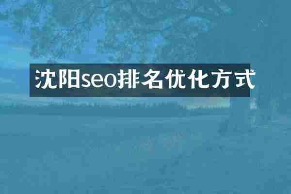 沈阳seo排名优化方式
