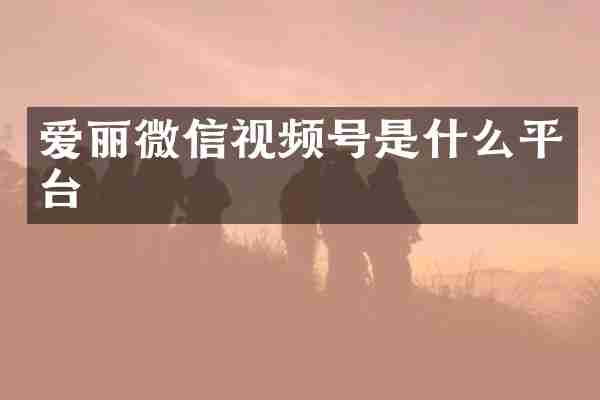 爱丽微信视频号是什么平台