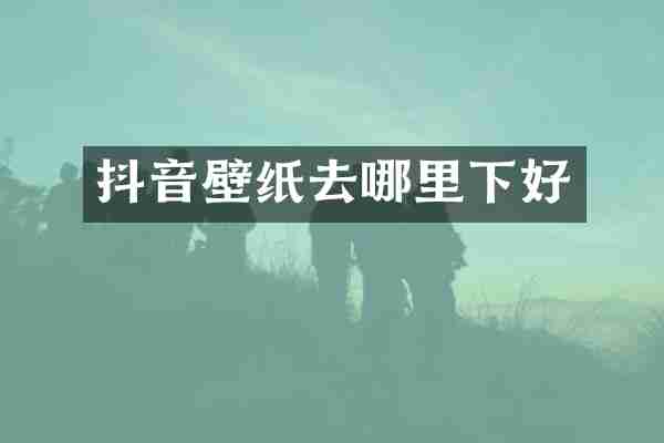 抖音壁纸去哪里下好