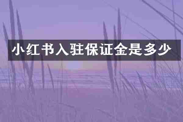 小红书入驻保证金是多少