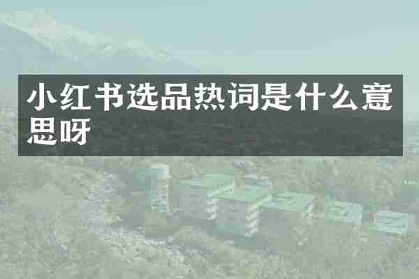 小红书选品热词是什么意思呀