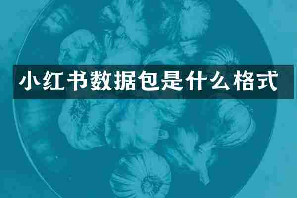 小红书数据包是什么格式