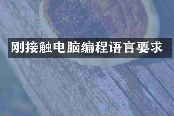 刚接触电脑编程语言要求