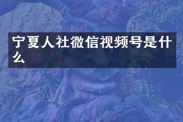 宁夏人社微信视频号是什么