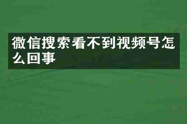 微信搜索看不到视频号怎么回事