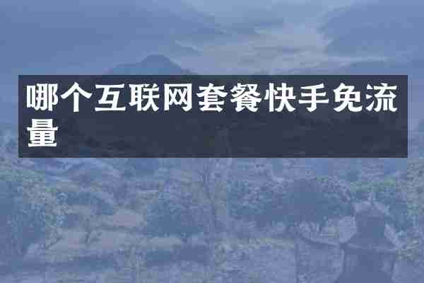 哪个互联网套餐快手免流量