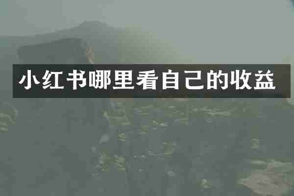 小红书哪里看自己的收益