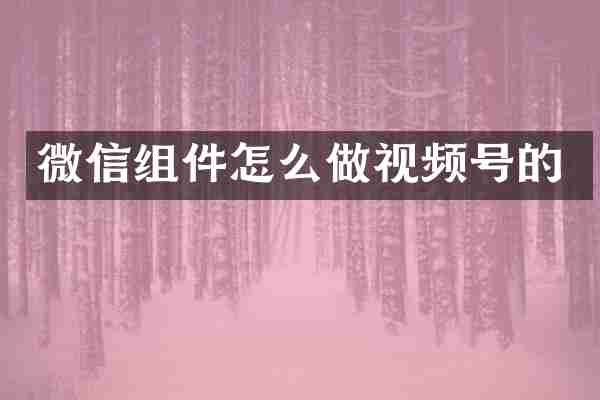 微信组件怎么做视频号的