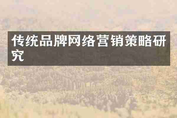传统品牌网络营销策略研究