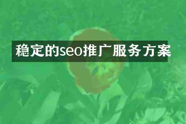 稳定的seo推广服务方案