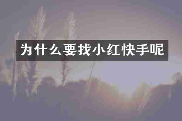 为什么要找小红快手呢