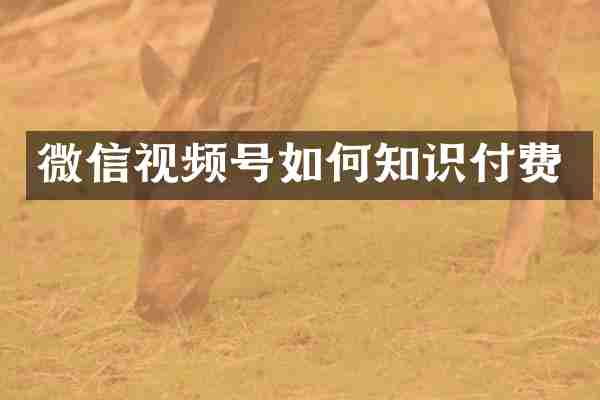 微信视频号如何知识付费