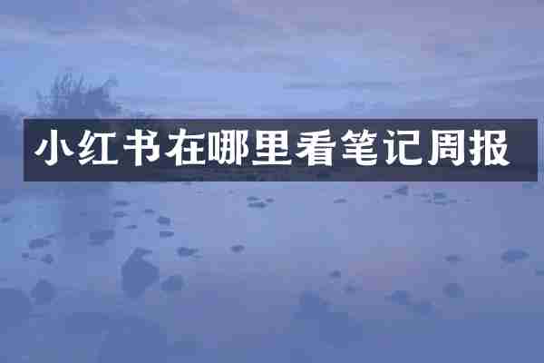 小红书在哪里看笔记周报