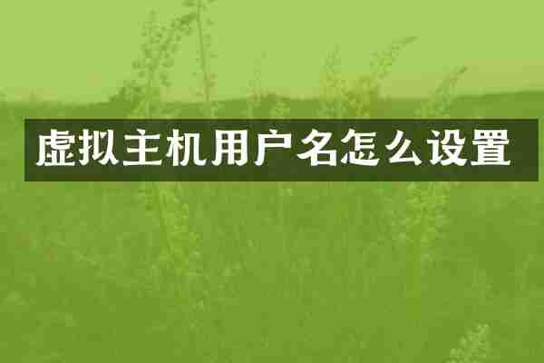 虚拟主机用户名怎么设置