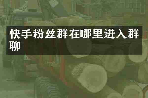 快手粉丝群在哪里进入群聊