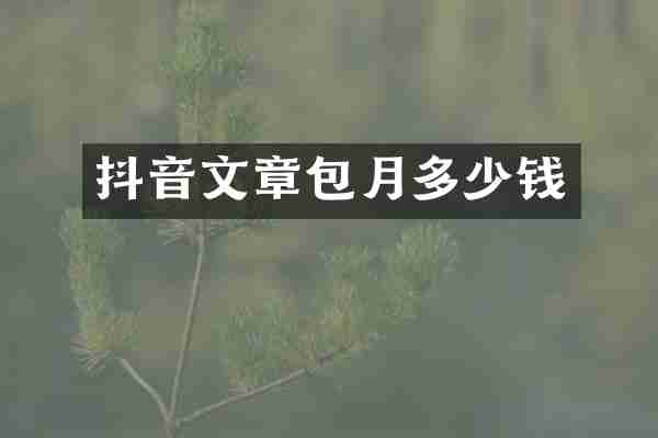 抖音文章包月多少钱