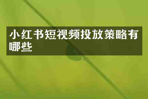 小红书短视频投放策略有哪些