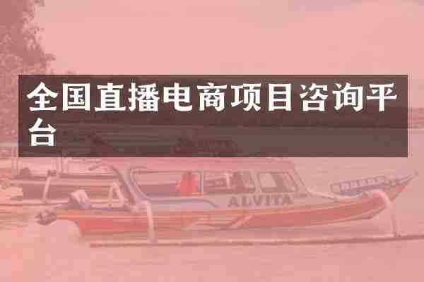 全国直播电商项目咨询平台