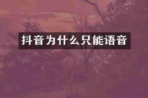 抖音为什么只能语音