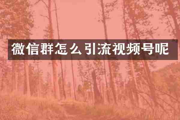 微信群怎么引流视频号呢
