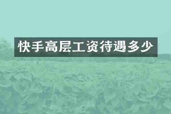 快手高层工资待遇多少