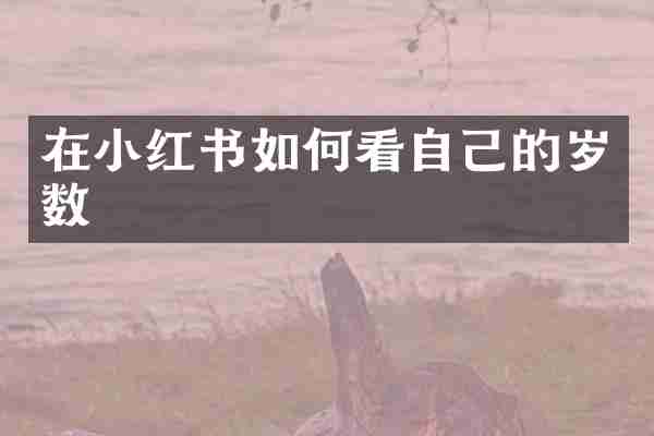 在小红书如何看自己的岁数