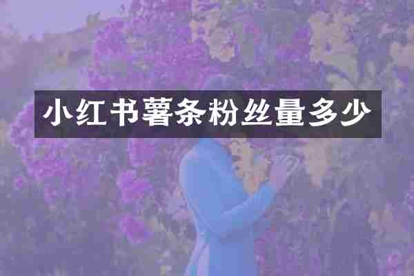 小红书薯条粉丝量多少