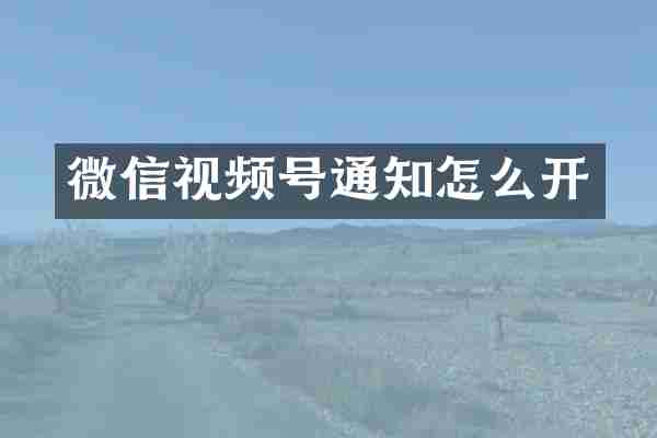 微信视频号通知怎么开