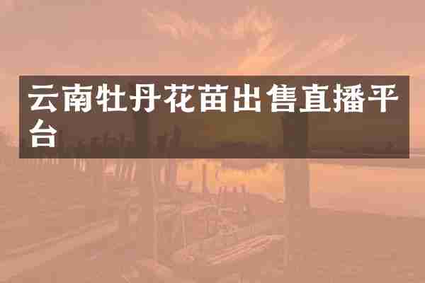 云南牡丹花苗出售直播平台