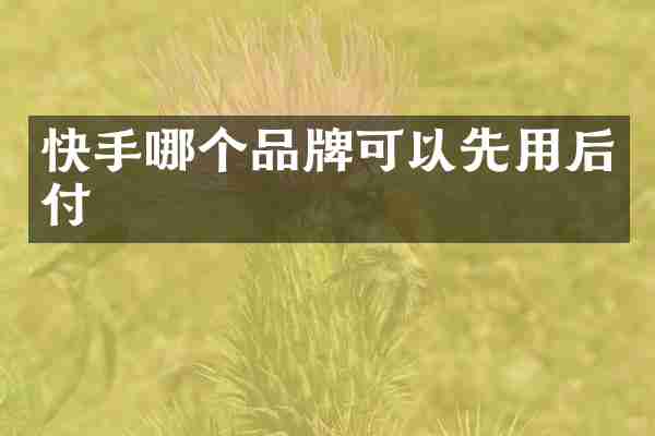 快手哪个品牌可以先用后付