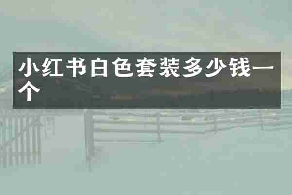 小红书白色套装多少钱一个