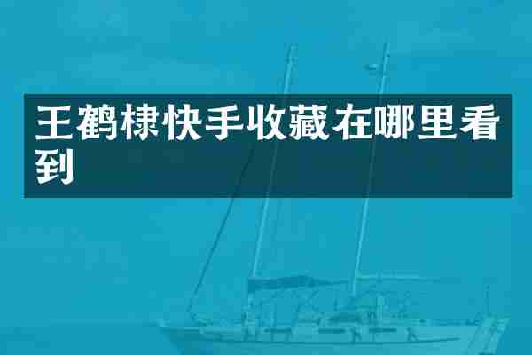王鹤棣快手收藏在哪里看到