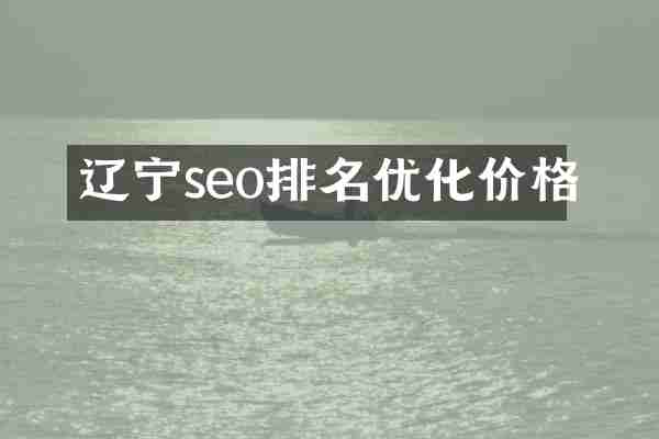 辽宁seo排名优化价格
